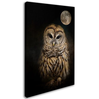 Vidur 'Barred Owl And the Moon' Graphic Art Print on Wrapped Canvas