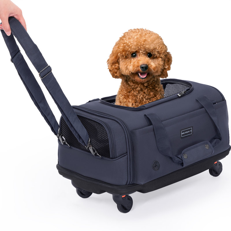 Darkash Collapsible Pet Carrier with 3 Doors, Black