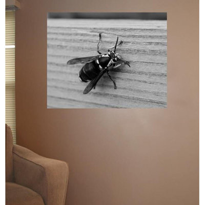 Insects Non-Wall Damaging Wall Decal