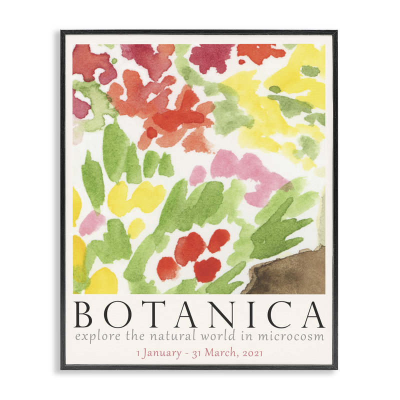  Botanica Floral Museum Grey Framed Giclee Art by June Erica Vess, H 14 po x l 11 po, Giclée encadrée noir minuit