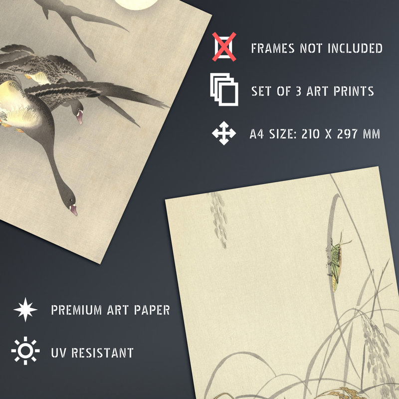 Addelynne Kacho-e Bird Flower Cuckoo Geese Paintings Art - 3 Piece No Frame Print, 29.7" H x 21" W x 0.4" D