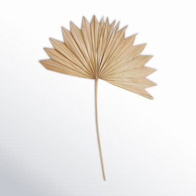 25" Palm Branch