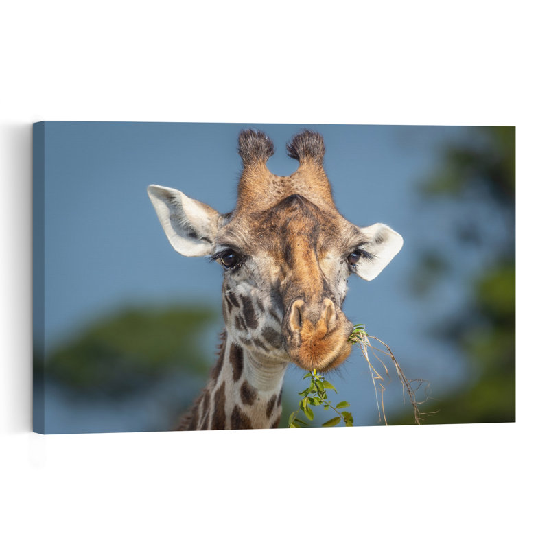 Wild Giraffe Browsing Abstract Contemporary Landscape Nature Wall Art Print, 60.96cm H x 91.44cm W