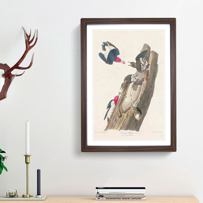 Red-Headed Woodpeckers by John James Audubon - Picture Frame Painting Print, 48cm H x 36cm W x 2cm D, Walnut Framed