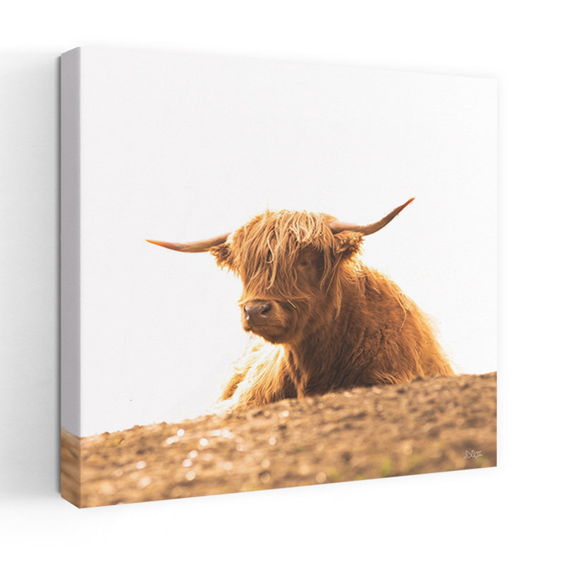 Portrait d'une vache contemporaine, H 18 po x l 18 po