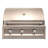 Artisan Gas Grill-72161024