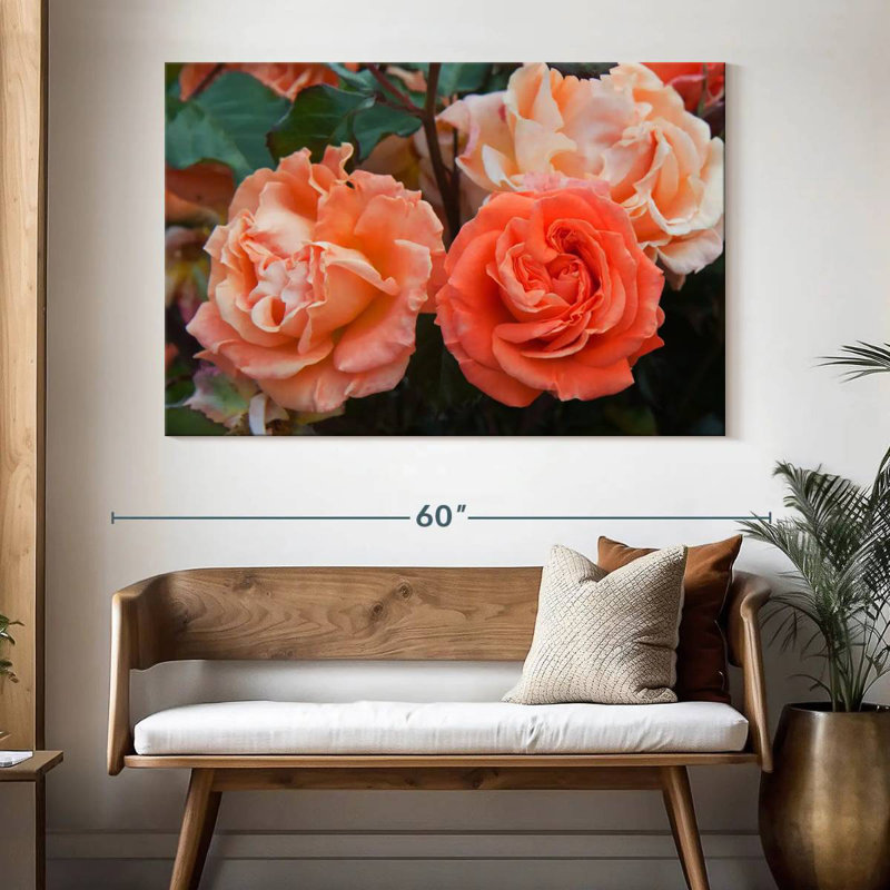 Harnek Orange Hybrid Roses, 34" H x 51" W