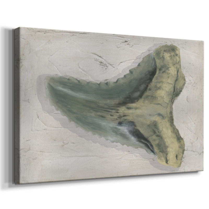Watercolor Sharks Tooth IV -Gallery Wrapped Cavas, 24X36