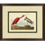 Scarlet Ibis Painting