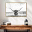 Longhorn Texas BW-260537281-260537343