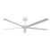 Agasthya 152cm Ceiling Fan