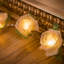 Dov LED Natural Leaf Rose String Light-89691162
