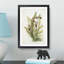 Magnolia Flowers Illustration Tab.61 by Frederick Sander - Picture Frame Art Print-55760934-55760935