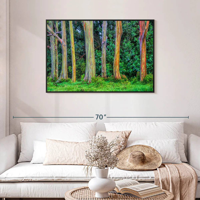 Harnek Eucalyptus Rainbow Trees, 29" H x 43" W