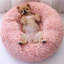 Orthopedic Pet Bed-59117802-59117806