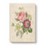 Pink Anemone Rose by Pierre-Joseph Redoute - Wrapped Canvas-55325629