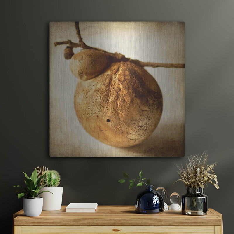 «Oak Pods 3» par Jessica Rogers, H 24 po x l 24 po