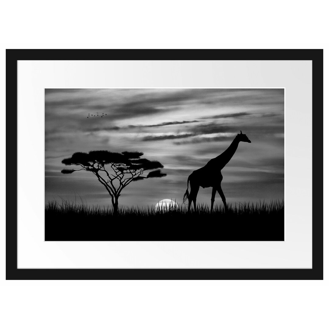 Gerahmtes Poster Giraffe im Sonnenuntergang