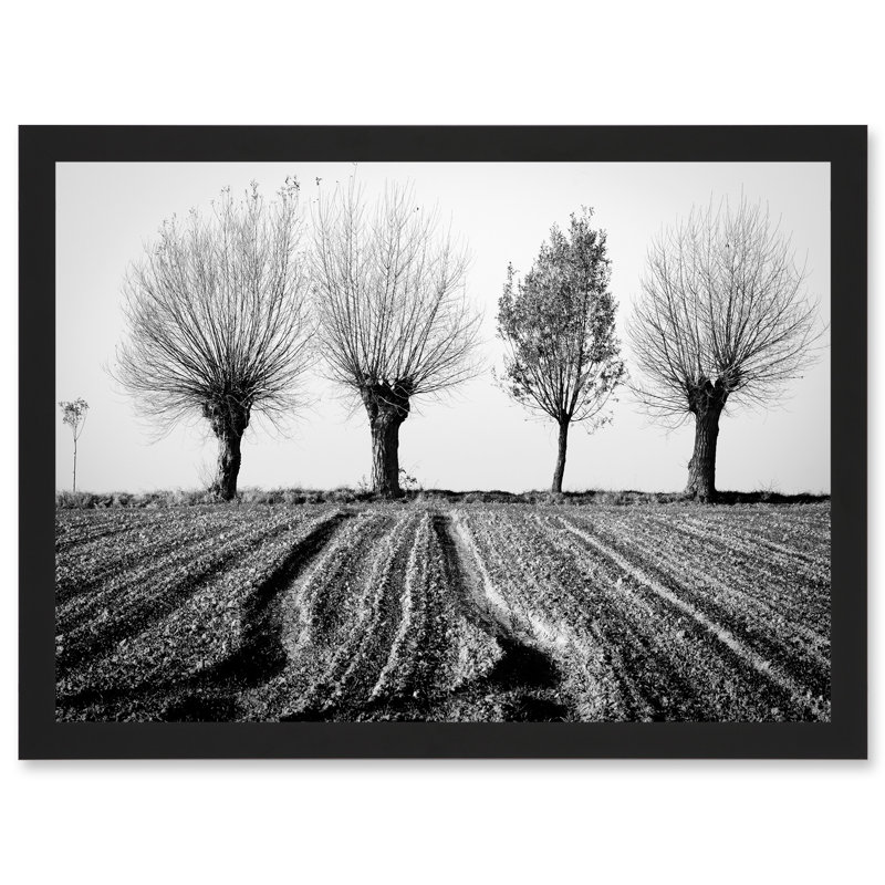 Trees Horizon Winter Field Black White - Single Picture Frame Art Prints