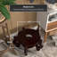 Fishbowl Stand-803469895