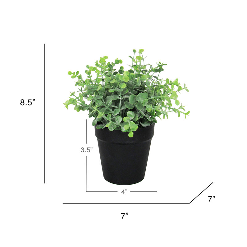 Eucalyptus artificiel 4 "en pot