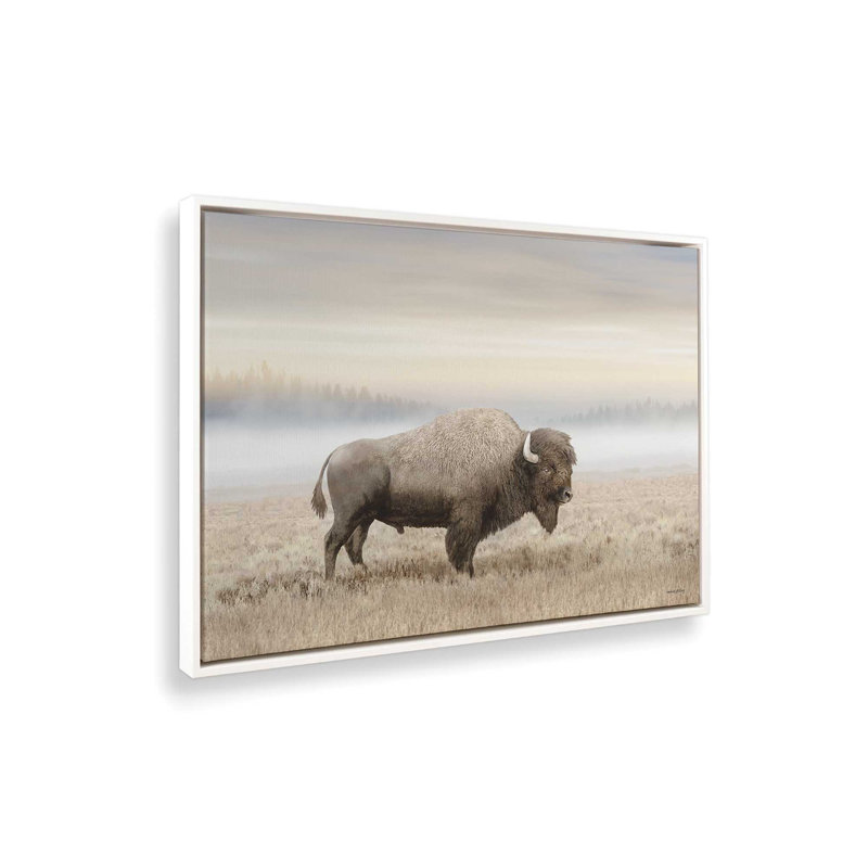 «Morning Sunrise Bison» par Amber Sterling, reproduction d'art, L 32 po x H 24 po, Blanc, Toile avec cadre