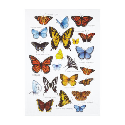 Butterfly Study Cotton Kitchen Towel