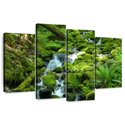 Alvord Stream At Olympic National Park