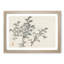 Bamboo Cane by Kono Bairei - Picture Frame Painting Print-55683236-55683241