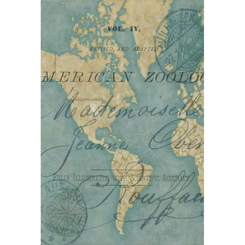 World Travels I - Wrapped Canvas Print, 46cm H x 30cm W x 3.8cm D
