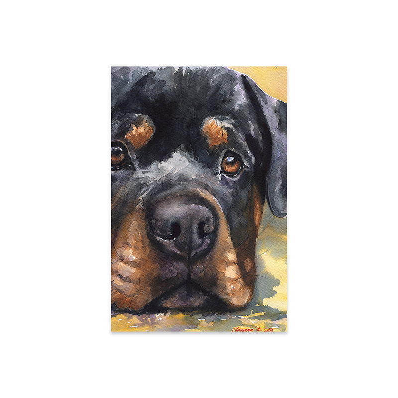 «Rottweiler» par George Dyachenko - impression sans cadre, H 24 po x l 16 po x P 0,25 po
