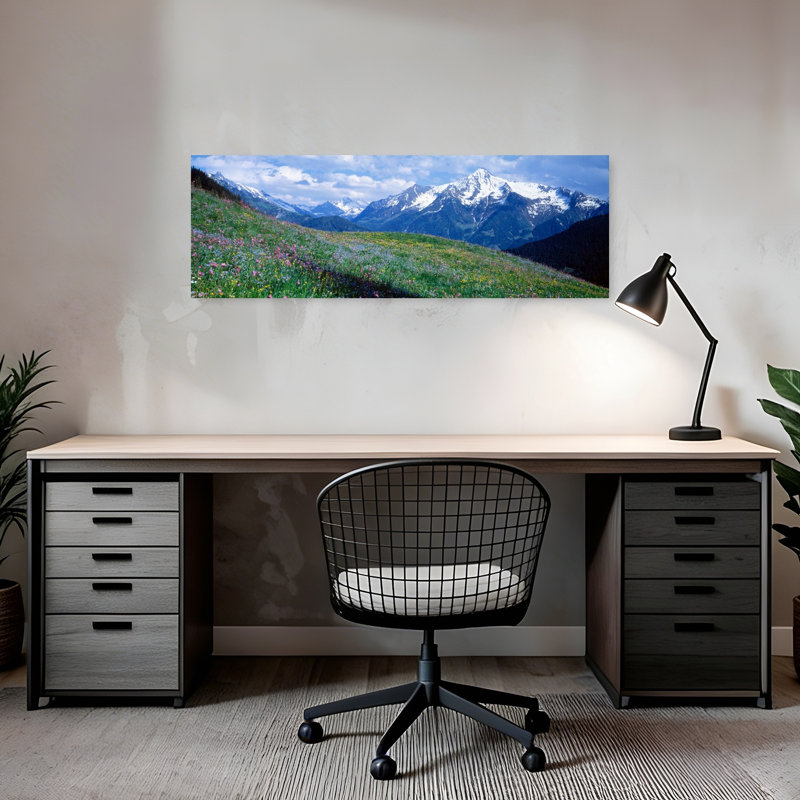 Fleurs sauvages le long d'une montagne, Zillertaler, Autriche, H 12 po x l 36 po