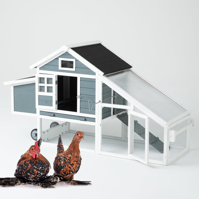 Grand poulailler extérieur en bois gris avec cage de nid, cage de poulailler