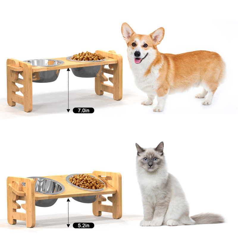 Anti-Skid Elevated Feeder