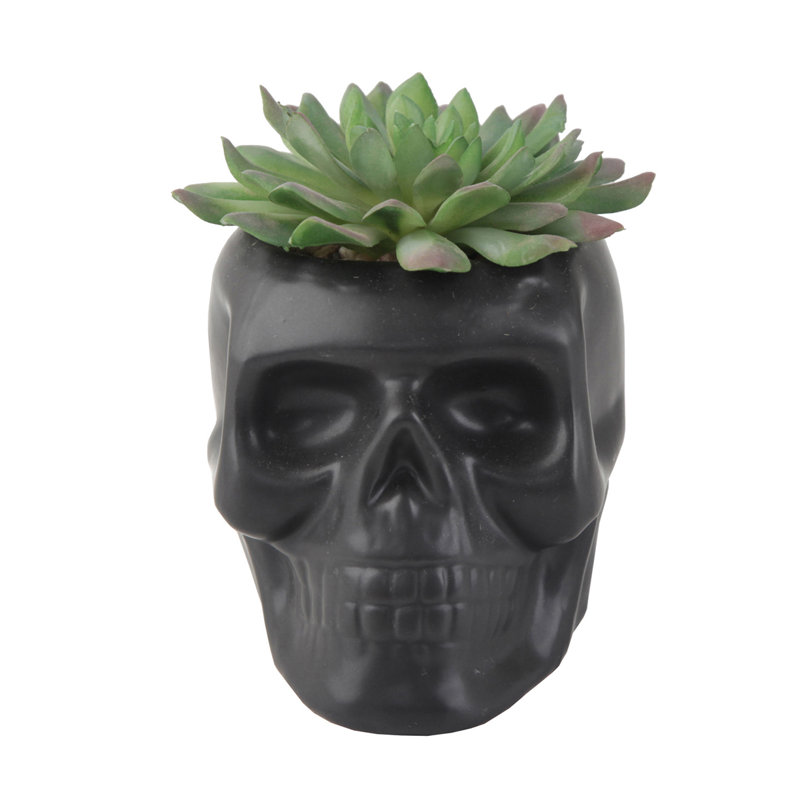 Plante succulent de bureau en pot, Noir mat
