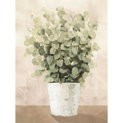 " Eucalyptus In Vase "