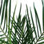 Annistyn 150cm Faux Palm Tree in Pot