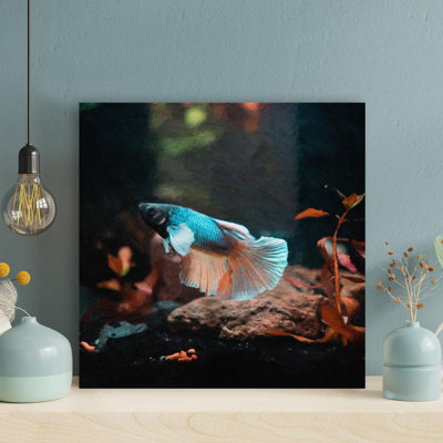 Rose et blanc, poisson Betta à l'intérieur de l'aquarium - 1 pièce, impression carrée sur toile tendue