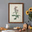 Toile encadrée de qualité supérieure Traditional Botanical II - prête à être accrochée-98786599-98786605