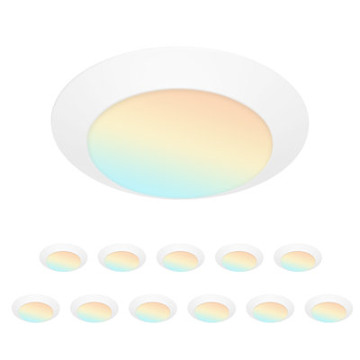 12 Pack 4 Inch LED Disk Lights,Dimmable Flush Mount Ceiling Lights, 5CCT, 90CRI, Low Profile Surface Mount Ceiling Lights for Bathroom,Bedroom