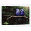 «Twins», impression sur toile-28960695-74526376-74601460