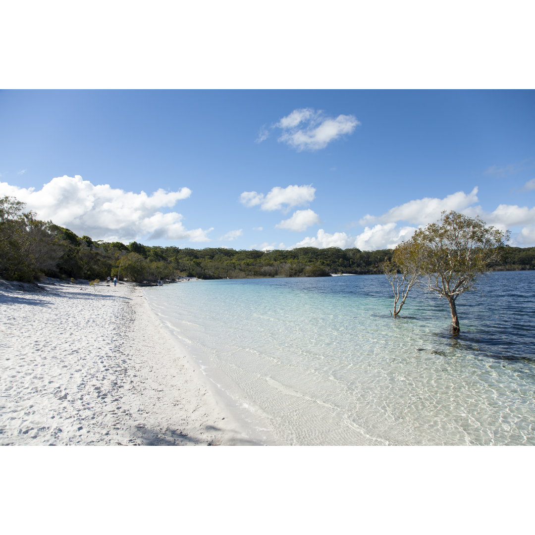 Lake Mckenzie, Fraser Island, Queensland, Australia