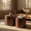 Ensemble de 2 tables basses gigognes rondes, table d'appoint en forme de souche d'arbre, table d'appoint rustique à grain de tourbillon sans assemblage pour salon, maison de campagne moderne Wabi-Sabi Home Decor Pommele