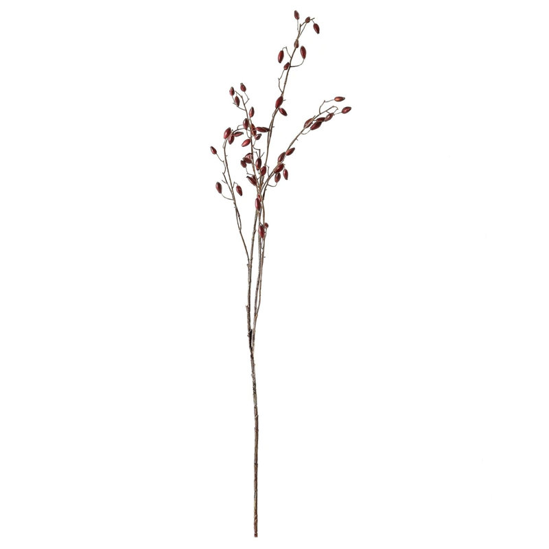 Aneissa Arrangement