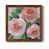 Maple Framed selected
