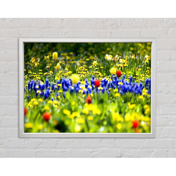 Bright Star Spring Fling - Single Picture Frame Art Prints on Canvas ...