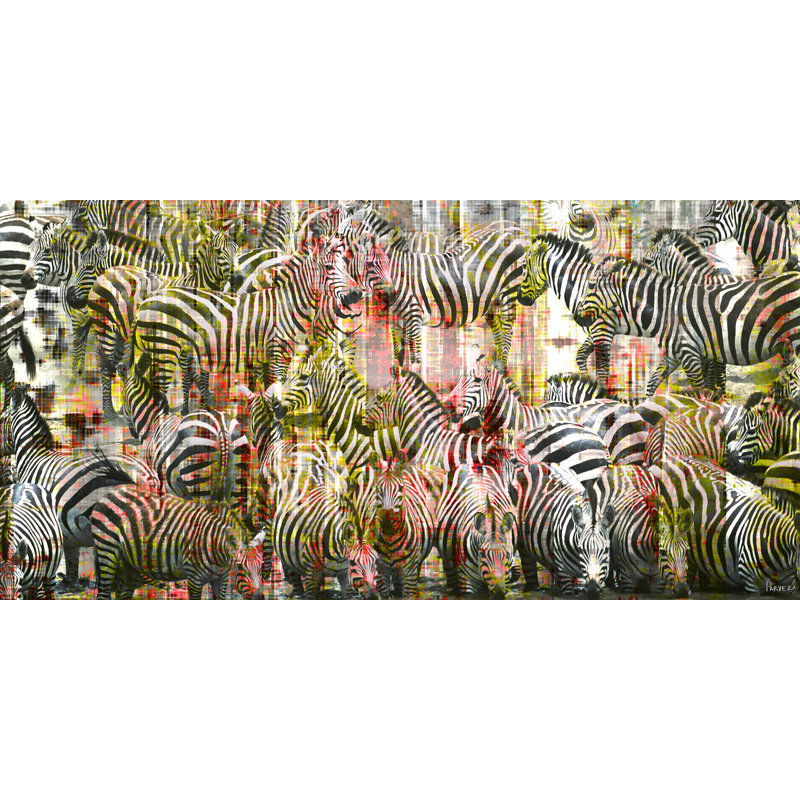 Parvez Taj - Wrapped Canvas Print, 30cm H x 61cm W x 5cm D