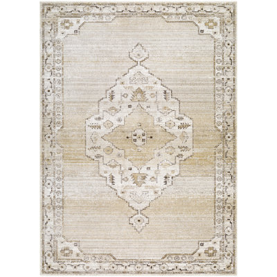 Moroccan Area Rug