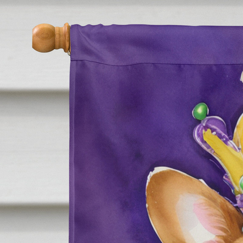Double Sided 28'' H x 40'' W Polyester Mardi Gras House Flag