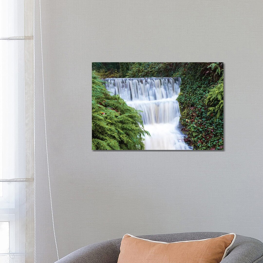 Seasonal Creek On Outskirts Of Portland, Oregon, USA von Stuart Westmorland - Gallery-Wrapped Canvas Giclée on Canvas